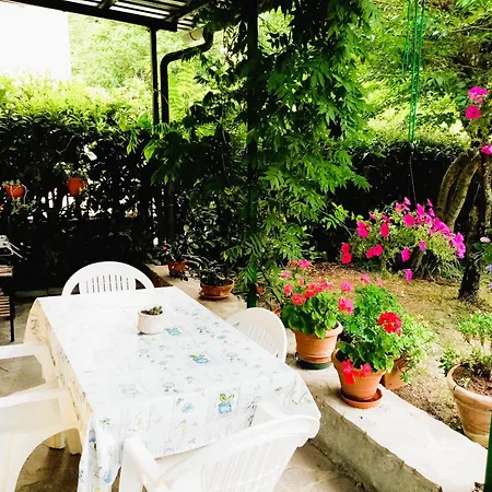 Casa Minnie