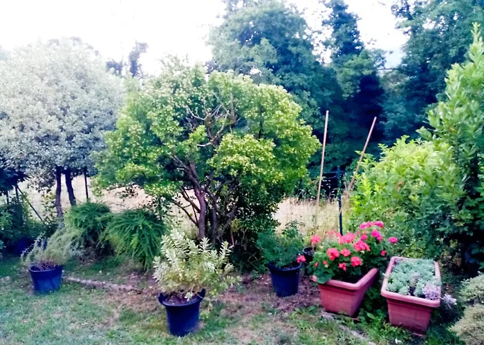 Casa vacanze Casa Minnie San Marcello Pistoiese